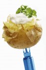 Запечена картопля з трав'яним кварком — стокове фото