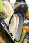 Steamed Mussels with vegetables — Stock Photo