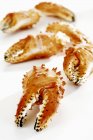 Vue rapprochée des griffes de crabe sur la surface blanche — Photo de stock