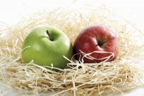Два яблока в гнезде — стоковое фото
