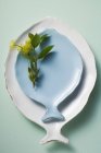 Vue de dessus des assiettes blanches et bleues en forme de poisson, décorées avec des herbes — Photo de stock
