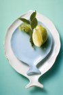 Рыбные тарелки с лимоном — стоковое фото