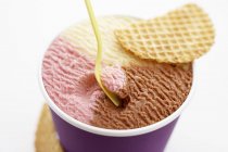 Неаполитанское мороженое — стоковое фото