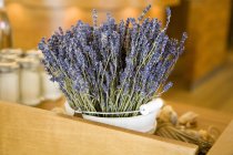 Fresh Lavender flowers in a bucket — Stock Photo