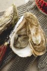 Frische Austern, Austernhandschuh und Messer — Stockfoto
