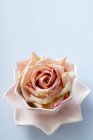 Tête de fleur de rose coupée dans un bol rose sur la surface bleue — Photo de stock
