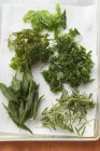 Жареные травы на кухонной бумаге — стоковое фото