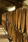 Wooden barrels in rows in wine cellar — Stock Photo