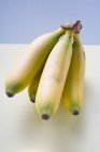 Bunch of fresh Plantains — Stock Photo