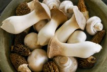 Разнообразные грибы в миске — стоковое фото