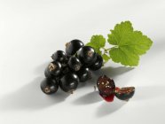 Свежие спелые черные смородины — стоковое фото