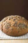 Pane integrale con semi — Foto stock