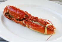 Cooked lobster on platter — Stock Photo