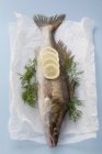 Свежая рыба с нарезанным лимоном и укропом — стоковое фото