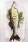 Свежая рыба с нарезанным лимоном и укропом — стоковое фото