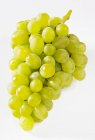 Зелёный виноград — стоковое фото