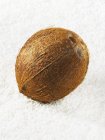 Fresh ripe coconut — Stock Photo