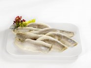 Matjes herring fillets — Stock Photo