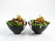 Salade de boeuf asiatique — Photo de stock