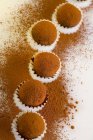 Chocolate truffles with powder — Stock Photo