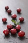Fresh Cranberries with leaves — Stock Photo