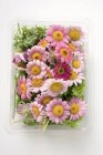 Vista dall'alto di fiori recisi in vassoio di plastica — Foto stock