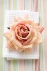 Vista elevada de una rosa rosa sobre una toalla blanca - foto de stock