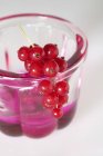 Jelly in bowl with redcurrants — Stock Photo