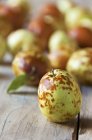Frisch gepflückte Jujube-Früchte — Stockfoto