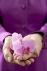 Vista ravvicinata di donna che tiene fiori di orchidea — Foto stock