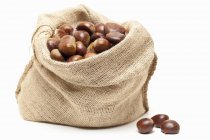 Edible chestnuts in a jute sack — Stock Photo