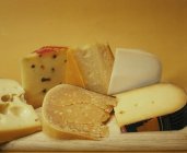 Varios tipos de queso holandés - foto de stock
