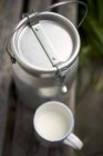 Latte in lattina e in tazza — Foto stock