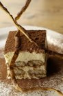 Tiramisu cake on plate — Stock Photo