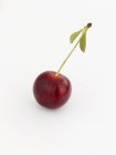 Fresh cherry with stalk and leaf — Stock Photo