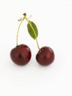 Pair of cherries with stalks — Stock Photo