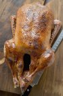 Whole Roasted duck — Stock Photo