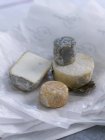Quatro tipos diferentes de queijo — Fotografia de Stock