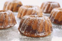 Bundt cakes dusted with icing sugar — Stock Photo