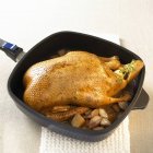 Чучело утки в сковороде — стоковое фото