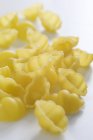 Raw conchiglie pasta — Stock Photo