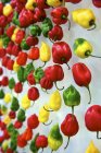 Pimentos de malagueta coloridos — Fotografia de Stock