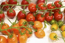 Красные и желтые помидоры черри — стоковое фото