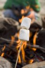 Marshmallows over fire — Stock Photo
