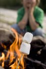 Marshmallow sul fuoco — Foto stock