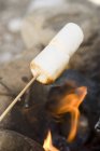 Marshmallows over fire — Stock Photo