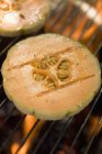 Vista close-up de fatias de melão no churrasco grelhador — Fotografia de Stock