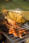 Ananas affettato su barbecue — Foto stock