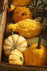 Basket of Mixed Organic Gourds on Display at Farm Market — Stock Photo