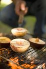 Closeup view of grilling peaches on rack — Stock Photo